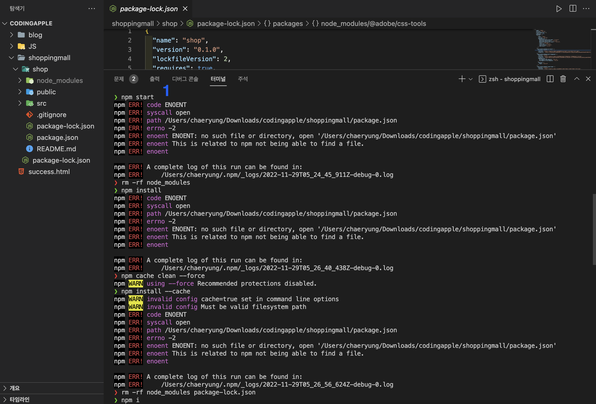 npm start 입력 후 에러 발생